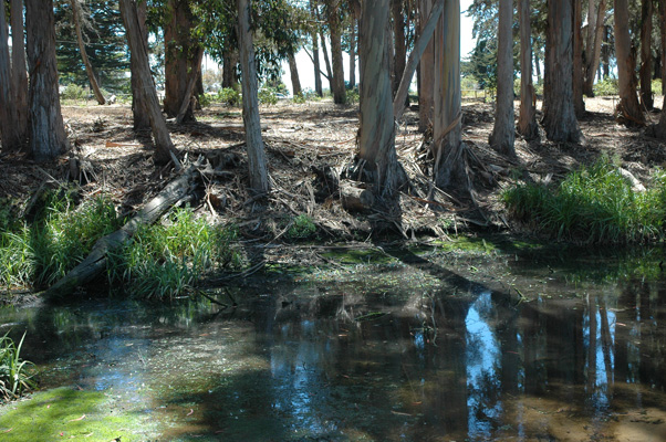 Morro Bay 030.JPG